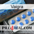 Vaigra 40